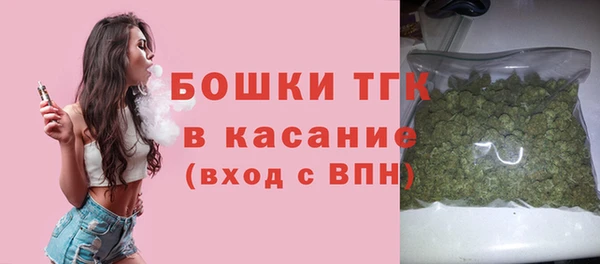МДПВ Абаза