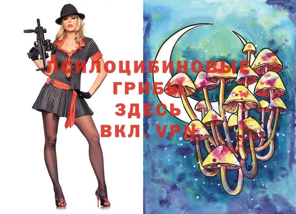 герыч Алексин