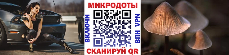 кракен   Ивантеевка  Псилоцибиновые грибы Magic Shrooms 